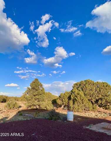 47 County Rd 8306 --, Concho, AZ 85924
