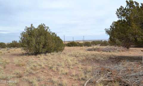 Lot 020d E 24th North Street, Snowflake, AZ 85937