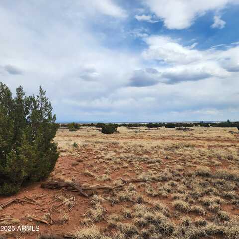 5506 Glasgow Drive, Snowflake, AZ 85937
