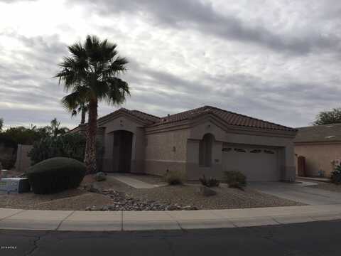 853 W RAVEN Drive, Chandler, AZ 85286