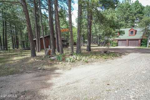 1449 ELK Drive, Forest Lakes, AZ 85931