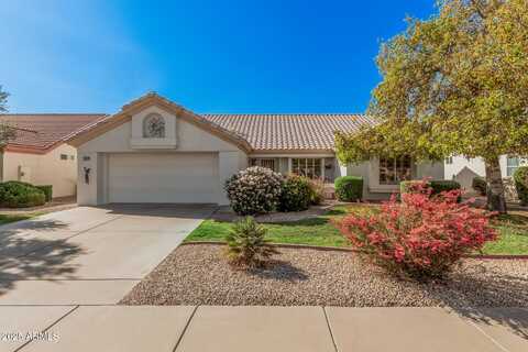 14102 W SKY HAWK Drive, Sun City West, AZ 85375