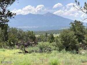 23320 Forest Service 548 Road, Flagstaff, AZ 86004