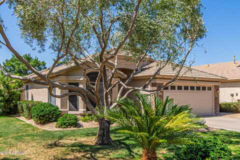 1424 W MEAD Drive, Chandler, AZ 85248