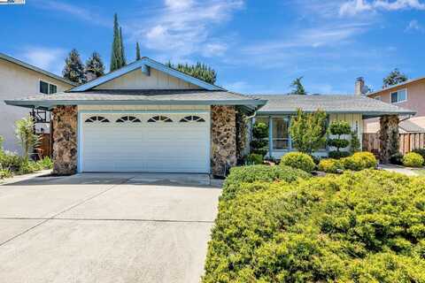 11801 Dublin Green Dr, Dublin, CA 94568