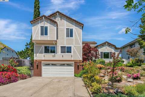483 Becado Place, Fremont, CA 94539