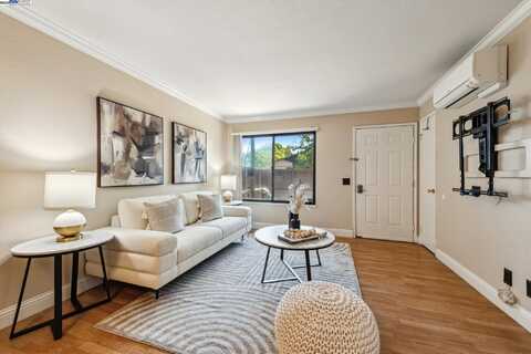 213 Ladera Plz, Union City, CA 94587