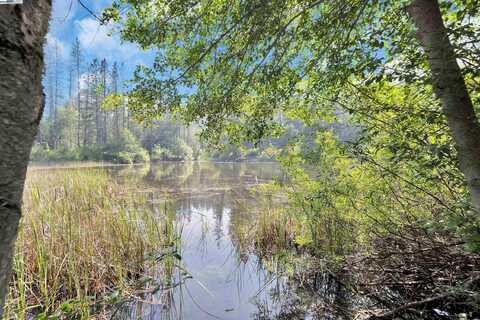 13567 Raccoon Mountain Rd, Grass Valley, CA 95945