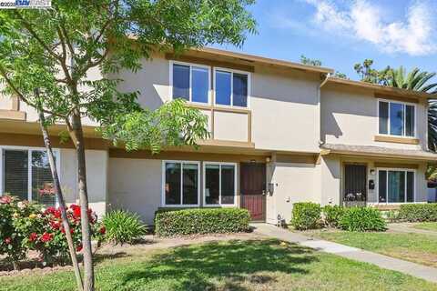 36906 Bolina Ter, Fremont, CA 94536