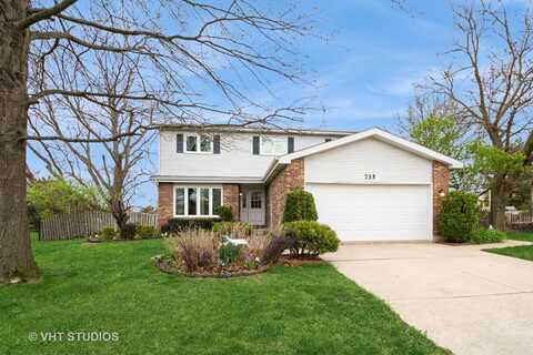 735 Vermont Road, Frankfort, IL 60423