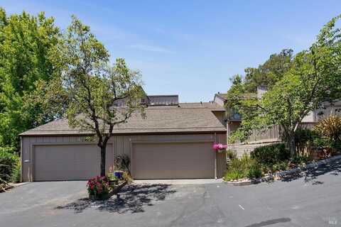 3 Mcintosh Court, Novato, CA 94949