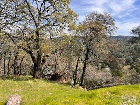 Circle Oaks Drive, Napa, CA 94558