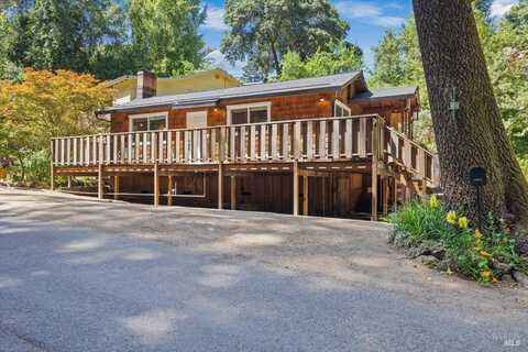 10048 Canyon Road, Forestville, CA 95436