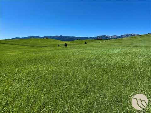 Tbd 2 Turnback Trail, Red Lodge, MT 59068