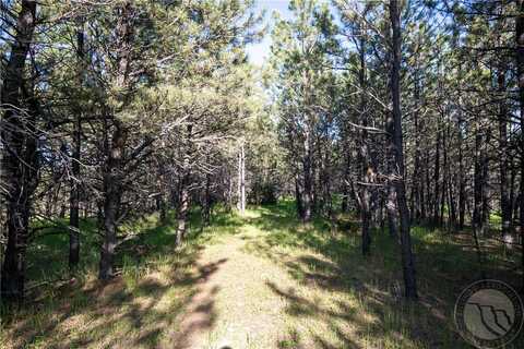 Tbd W Parrot Creek Road, Parcel 17, Roundup, MT 59072