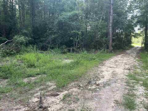 OFF FM 1943 E, Warren, TX 77664