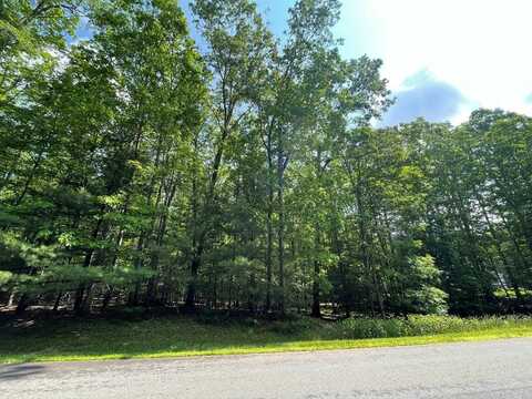Saddlebrooke Ln, DANIELS, WV 25832