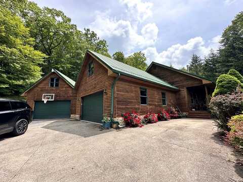 610l Old Gauley Rd, MT. NEBO, WV 26679