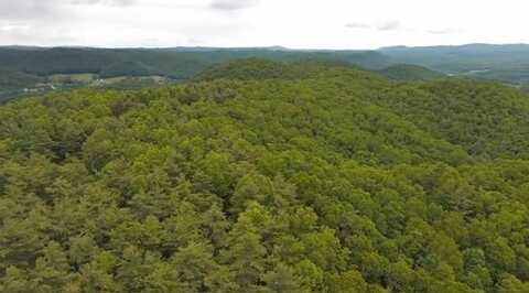 Beckley Rd, CAMP CREEK, WV 25820