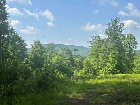 868 Frazee Ridge Rd, DANESE, WV 25831