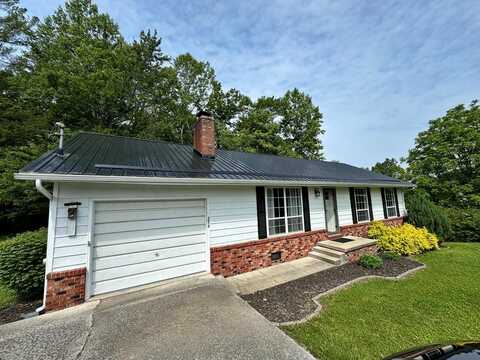 356 reynolds street, SUMMERSVILLE, WV 26651