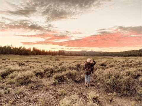 34300 Holcomb Valley Road, Fawnskin, CA 92333