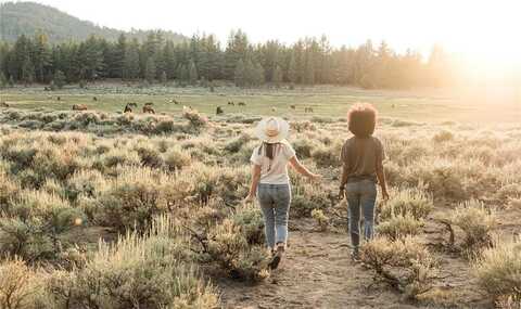 0 Holcomb Valley Road, Fawnskin, CA 92333