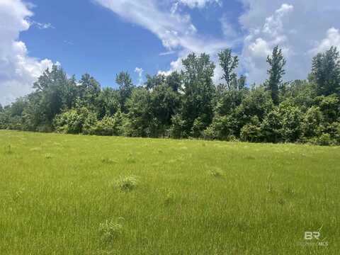 15660 Louis Cooper Road, Bay Minette, AL 36507