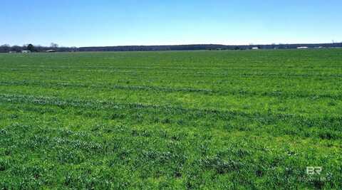 Lot 16 Davis Pond Road, Atmore, AL 36502