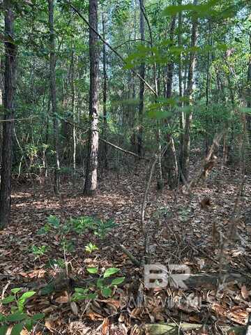 0 Old Highway 31, Brewton, AL 36426