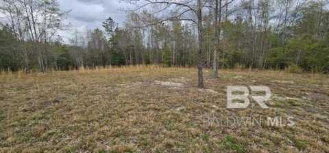0 Butler Street, Goodway, AL 36445
