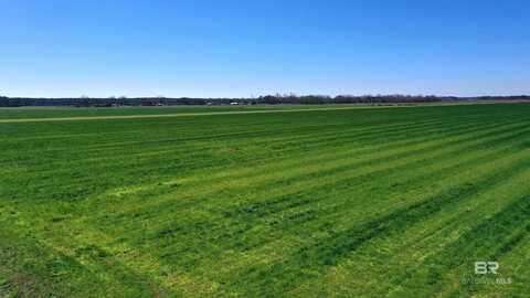 Lot 15 Davis Pond Road, Atmore, AL 36502