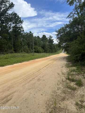 25 Aster Circle, Marianna, FL 32448