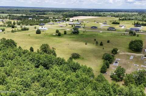 Tbd NE CR 69A Parcel 5, Altha, FL 32421