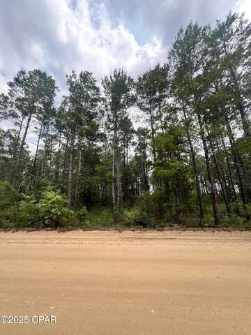 00 Fawnridge Drive, Chipley, FL 32428