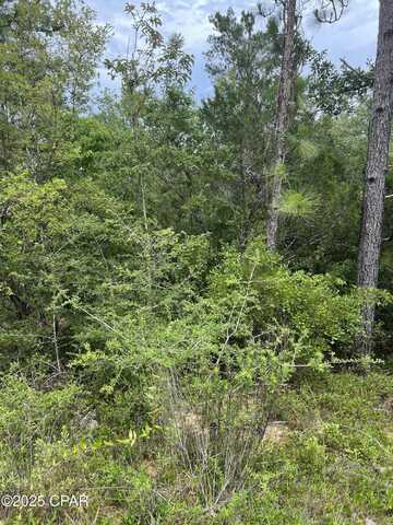 00 Aster Circle, Marianna, FL 32448