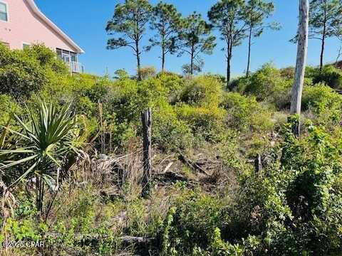 20 Turnstone Drive, Port Saint Joe, FL 32456
