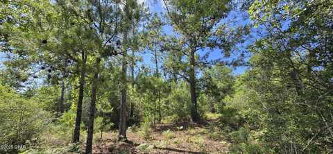 0 Joy Avenue, Marianna, FL 32448