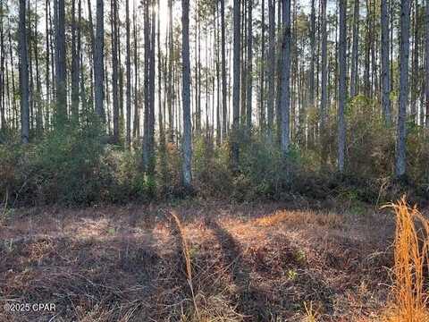 12 Douglas Landing Road, Wewahitchka, FL 32465