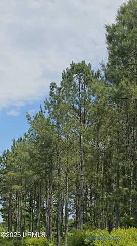 1659 Tillman Road, Ridgeland, SC 29936