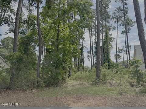 251 Locust Fence Road, Islandton, SC 29920