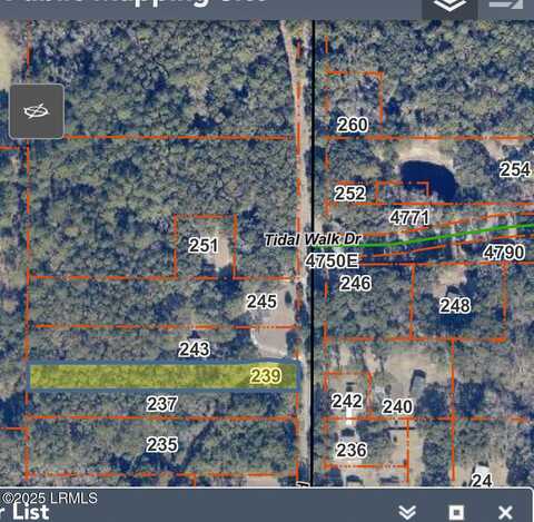 239 Little Capers Road, Beaufort, SC 29907