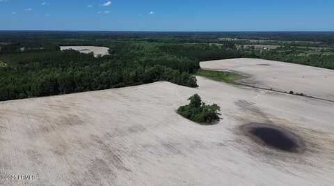 0000 Burnell Road, Estill, SC 29918