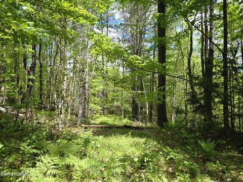 0 East Otis Rd, Otis, MA 01253