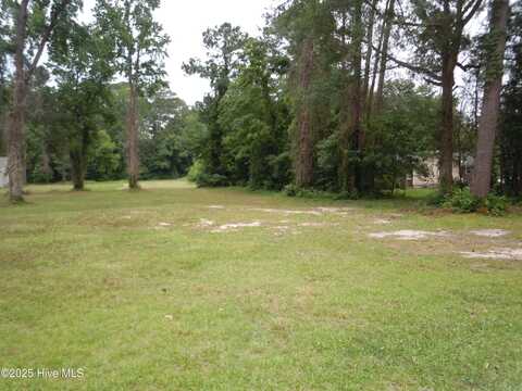 Tbd Near 503 Elizabeth Street, Tabor City, NC 28463