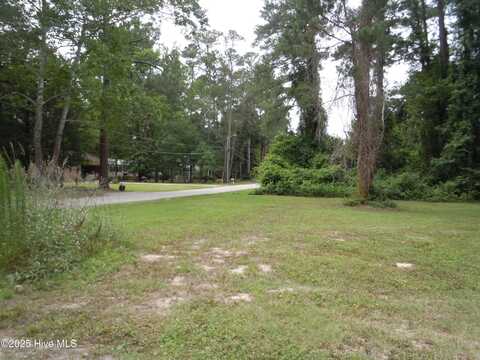 Tbd Near 110 Elizabeth Street, Tabor City, NC 28463
