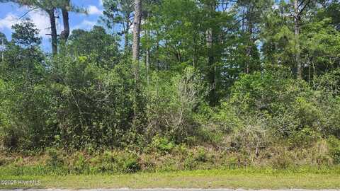 Lot 143 Elm Road, Boiling Spring Lakes, NC 28461