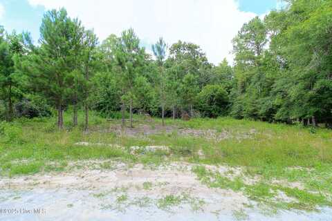468 Candlewood Court SE, Bolivia, NC 28422
