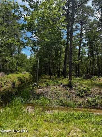 16 & 17 Cherry Road, Boiling Spring Lakes, NC 28461