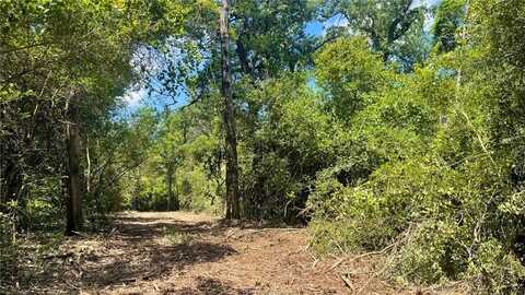 Tbd Mt Pleasant Rd (+/-5.75 acres), Franklin, TX 77856